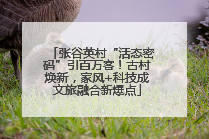 张谷英村“活态密码”引百万客！古村焕新，家风+科技成文旅融合新爆点