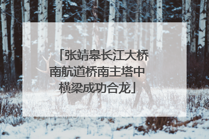 张靖皋长江大桥南航道桥南主塔中横梁成功合龙