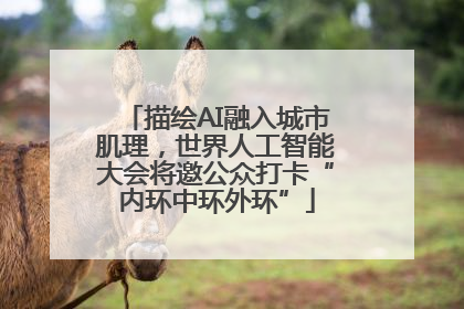 描绘AI融入城市肌理，世界人工智能大会将邀公众打卡“内环中环外环”