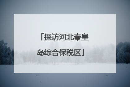 探访河北秦皇岛综合保税区