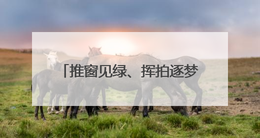 推窗见绿、挥拍逐梦，东营港“小城大爱”奏响文明新乐章