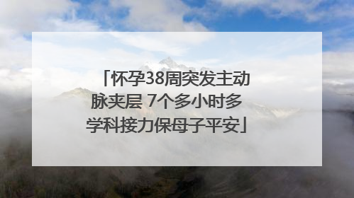 怀孕38周突发主动脉夹层 7个多小时多学科接力保母子平安