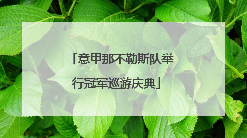 意甲那不勒斯队举行冠军巡游庆典