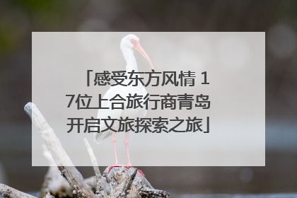 感受东方风情 17位上合旅行商青岛开启文旅探索之旅