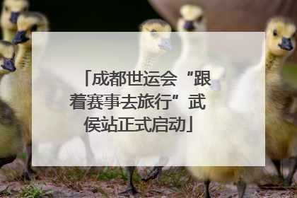 成都世运会“跟着赛事去旅行”武侯站正式启动
