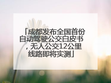 成都发布全国首份自动驾驶公交白皮书，无人公交12公里线路即将实测