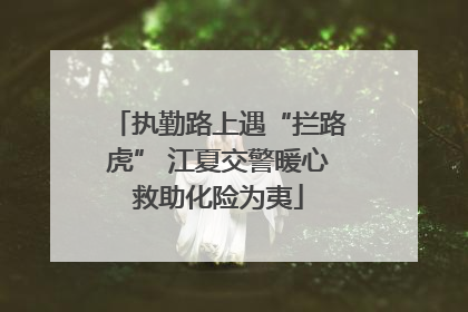 执勤路上遇“拦路虎” 江夏交警暖心救助化险为夷