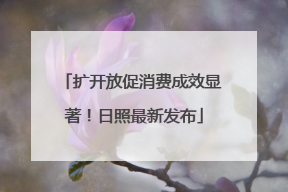 扩开放促消费成效显著！日照最新发布