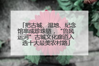 把古城、湿地、纪念馆串成珍珠链，“鲁风运河”古城文化廊道入选十大最美农村路
