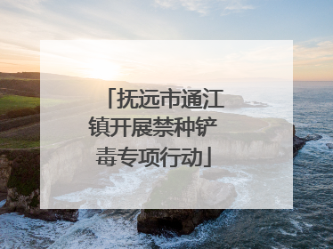 抚远市通江镇开展禁种铲毒专项行动