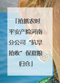 抢抓农时 平安产险河南分公司“抗旱抢收”保夏粮归仓