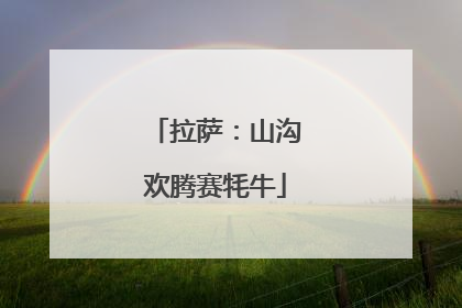 拉萨：山沟欢腾赛牦牛