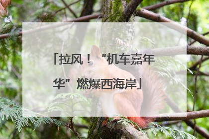 拉风！“机车嘉年华”燃爆西海岸