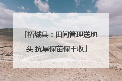 柘城县：田间管理送地头 抗旱保苗保丰收