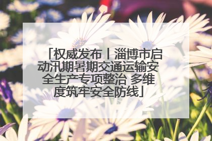 权威发布丨淄博市启动汛期暑期交通运输安全生产专项整治 多维度筑牢安全防线