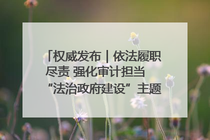 权威发布｜依法履职尽责 强化审计担当 “法治政府建设”主题系列新闻发布会市审计局专场召开