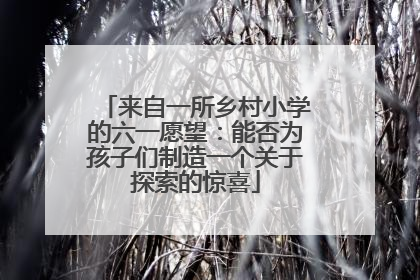 来自一所乡村小学的六一愿望：能否为孩子们制造一个关于探索的惊喜