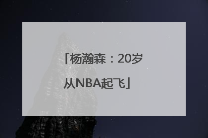 杨瀚森：20岁从NBA起飞