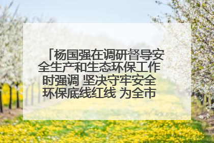杨国强在调研督导安全生产和生态环保工作时强调 坚决守牢安全环保底线红线 为全市经济社会高质量发展提供坚强保障