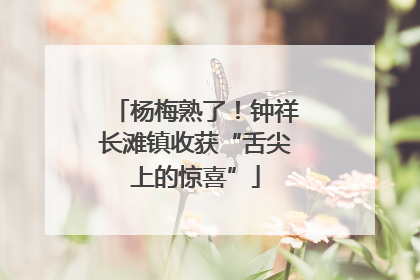 杨梅熟了！钟祥长滩镇收获“舌尖上的惊喜”