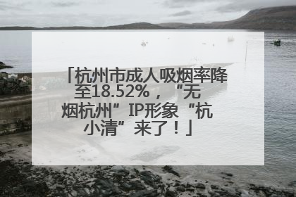 杭州市成人吸烟率降至18.52%，“无烟杭州”IP形象“杭小清”来了！