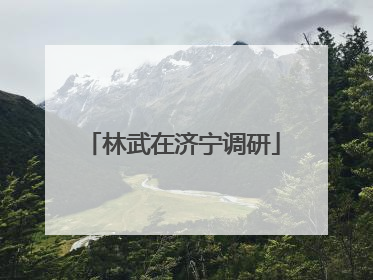 林武在济宁调研