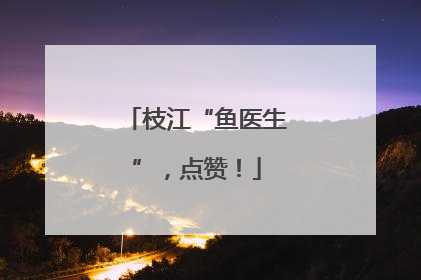 枝江“鱼医生”，点赞！
