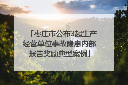 枣庄市公布3起生产经营单位事故隐患内部报告奖励典型案例