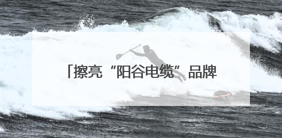 擦亮“阳谷电缆”品牌！市场监管总局到阳谷开展电线电缆专题调研