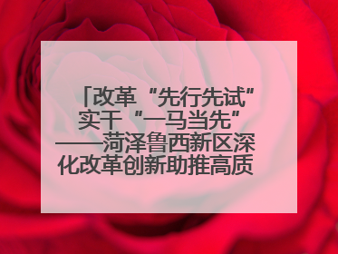 改革“先行先试” 实干“一马当先”——菏泽鲁西新区深化改革创新助推高质量发展纪实