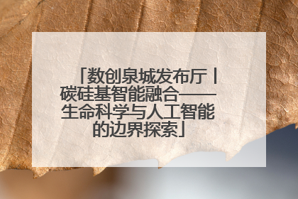 数创泉城发布厅丨碳硅基智能融合——生命科学与人工智能的边界探索
