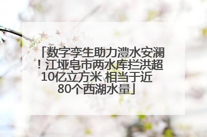 数字孪生助力澧水安澜！江垭皂市两水库拦洪超10亿立方米 相当于近80个西湖水量