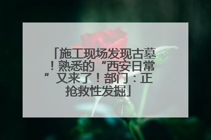 施工现场发现古墓！熟悉的“西安日常”又来了！部门：正抢救性发掘