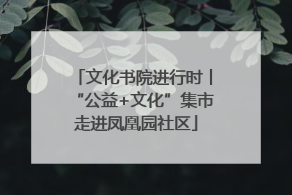 文化书院进行时丨“公益+文化”集市走进凤凰园社区