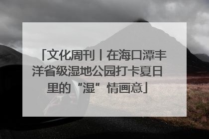 文化周刊丨在海口潭丰洋省级湿地公园打卡夏日里的“湿”情画意