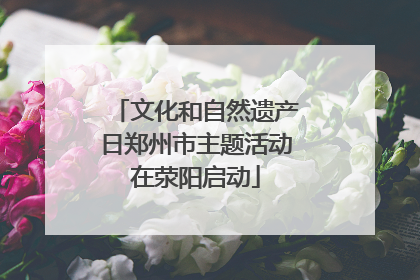 文化和自然遗产日郑州市主题活动在荥阳启动