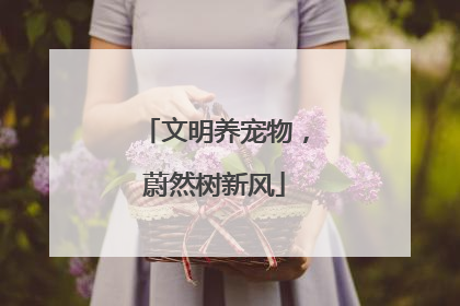 文明养宠物，蔚然树新风