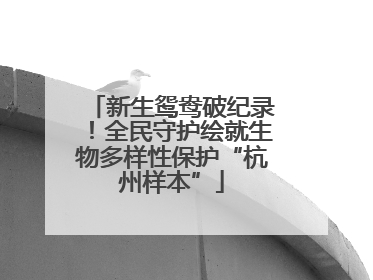 新生鸳鸯破纪录！全民守护绘就生物多样性保护“杭州样本”