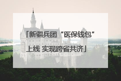 新疆兵团“医保钱包”上线 实现跨省共济