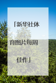 新华社体育图片每周佳作