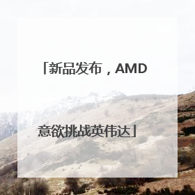 新品发布，AMD意欲挑战英伟达