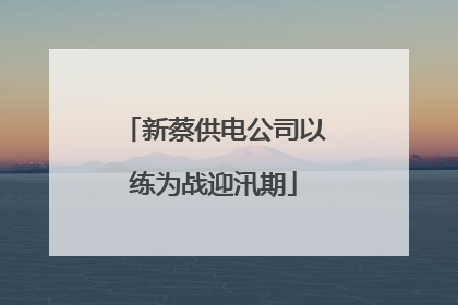 新蔡供电公司以练为战迎汛期