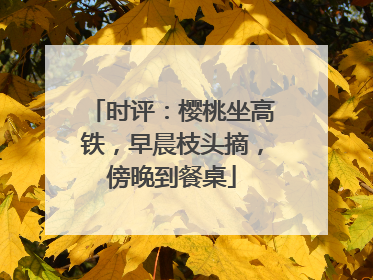 时评：樱桃坐高铁，早晨枝头摘，傍晚到餐桌