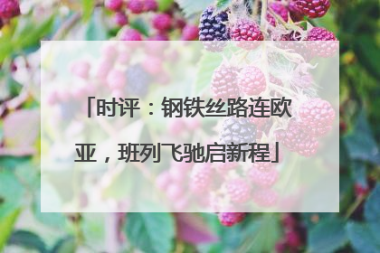 时评：钢铁丝路连欧亚，班列飞驰启新程