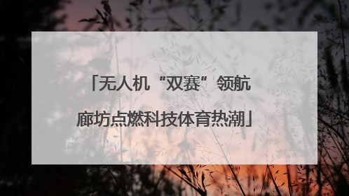 无人机“双赛”领航 廊坊点燃科技体育热潮