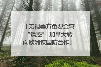 无视美方免费金穹“诱惑” 加拿大转向欧洲谋国防合作