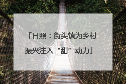 日照：街头镇为乡村振兴注入“甜”动力