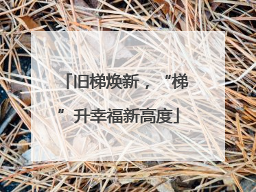 旧梯焕新，“梯”升幸福新高度