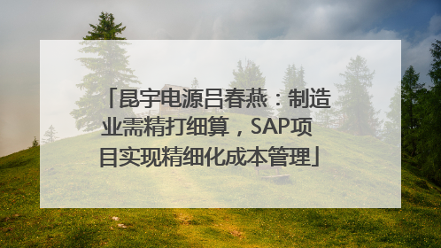 昆宇电源吕春燕：制造业需精打细算，SAP项目实现精细化成本管理