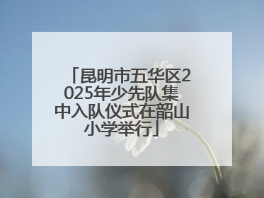 昆明市五华区2025年少先队集中入队仪式在韶山小学举行